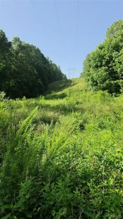 Picture 8