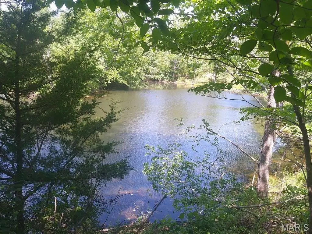 Picture 3