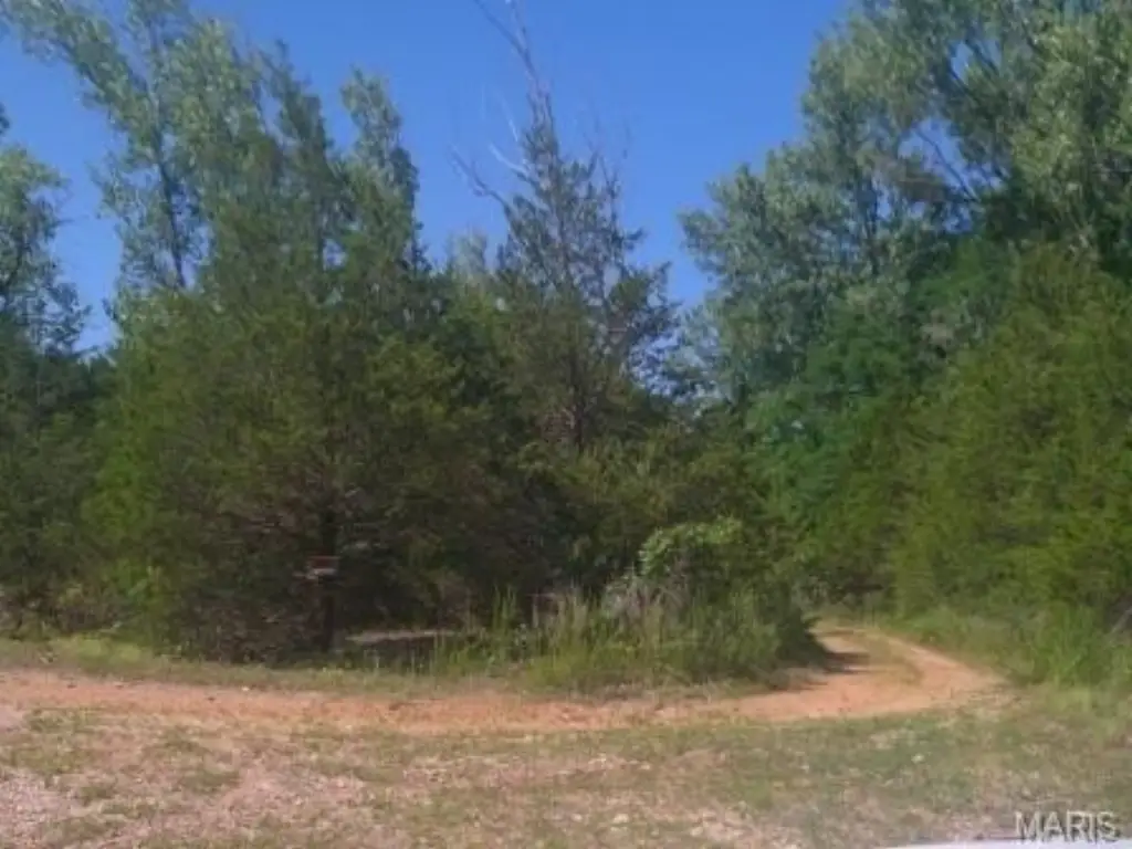 Picture 16