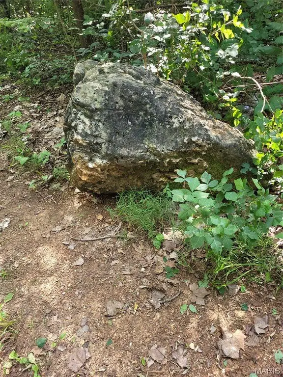 Picture 13