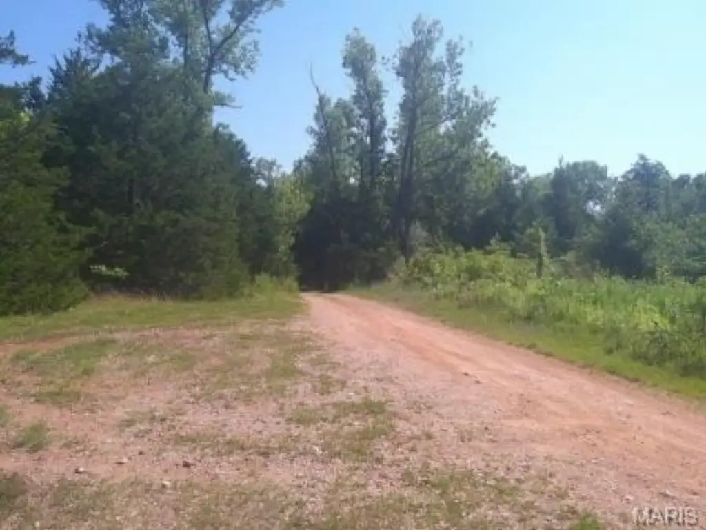 Picture 15