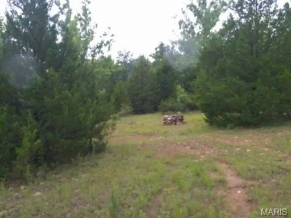 Picture 9