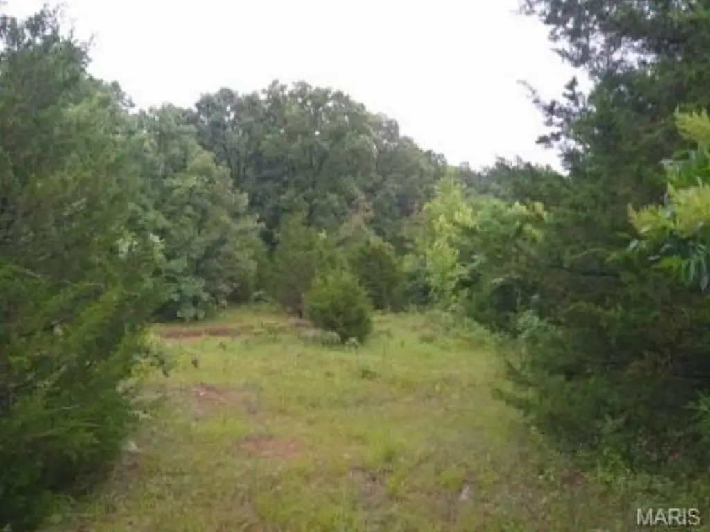 Picture 11