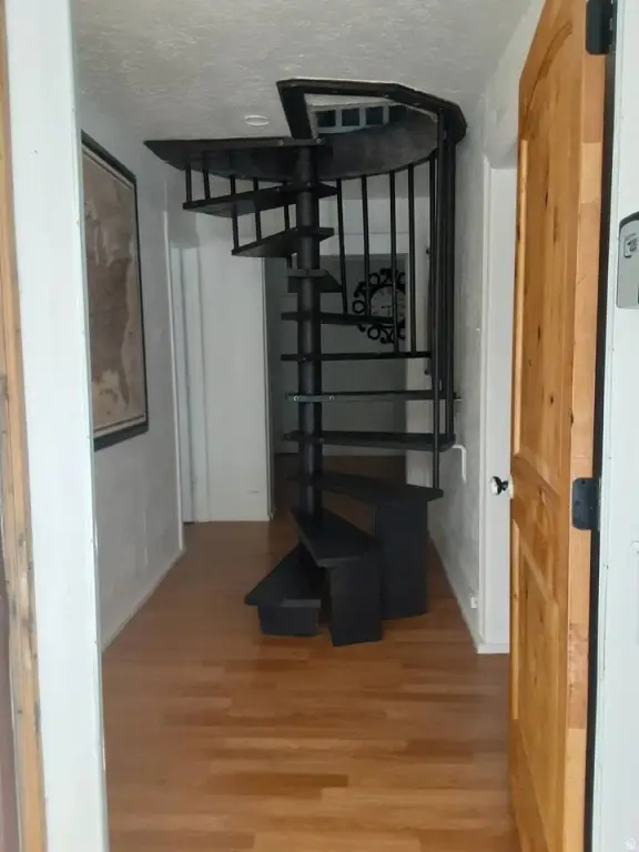 Picture 23