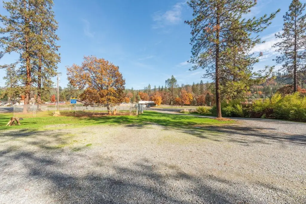 Picture 39