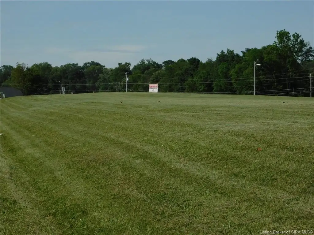 Picture 7