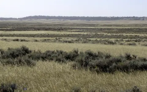 Shepherd, MT Grassland Acreage