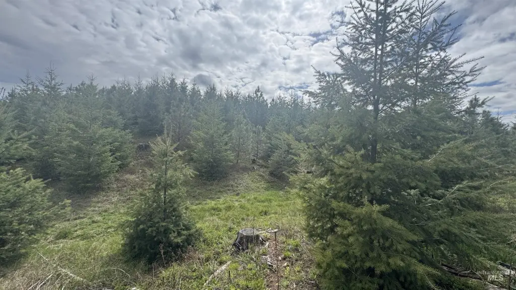 Picture 23