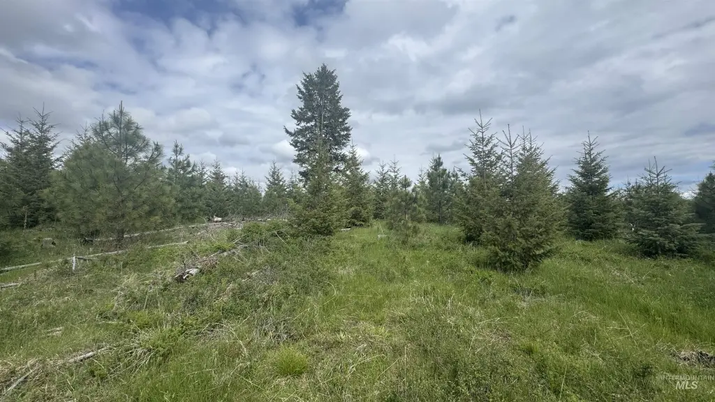 Picture 13