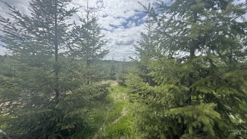 Picture 17