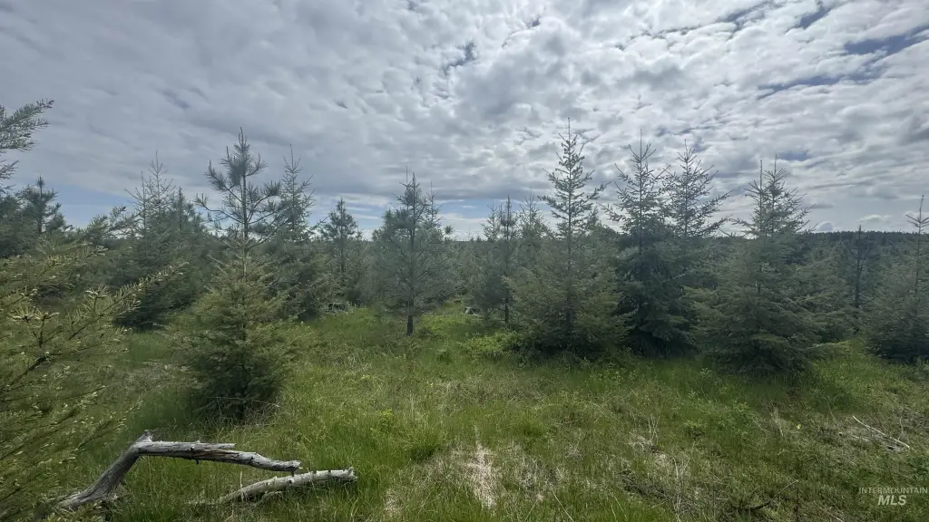 Picture 16