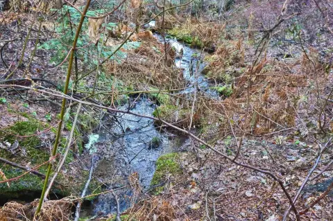 Land Near Tamarack Ski Resort