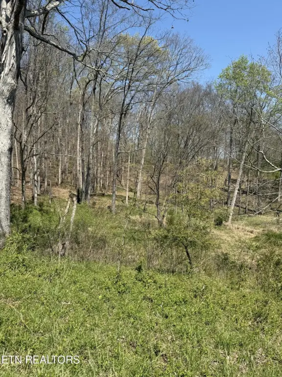 Picture 42