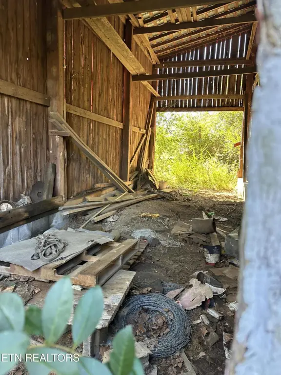 Picture 21