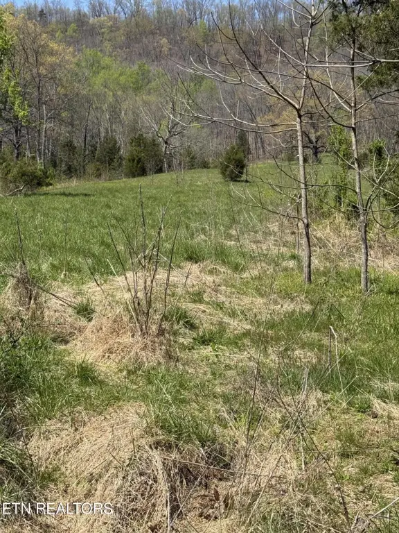Picture 26