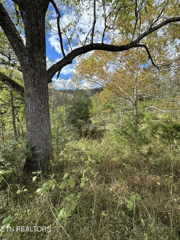 Picture 18