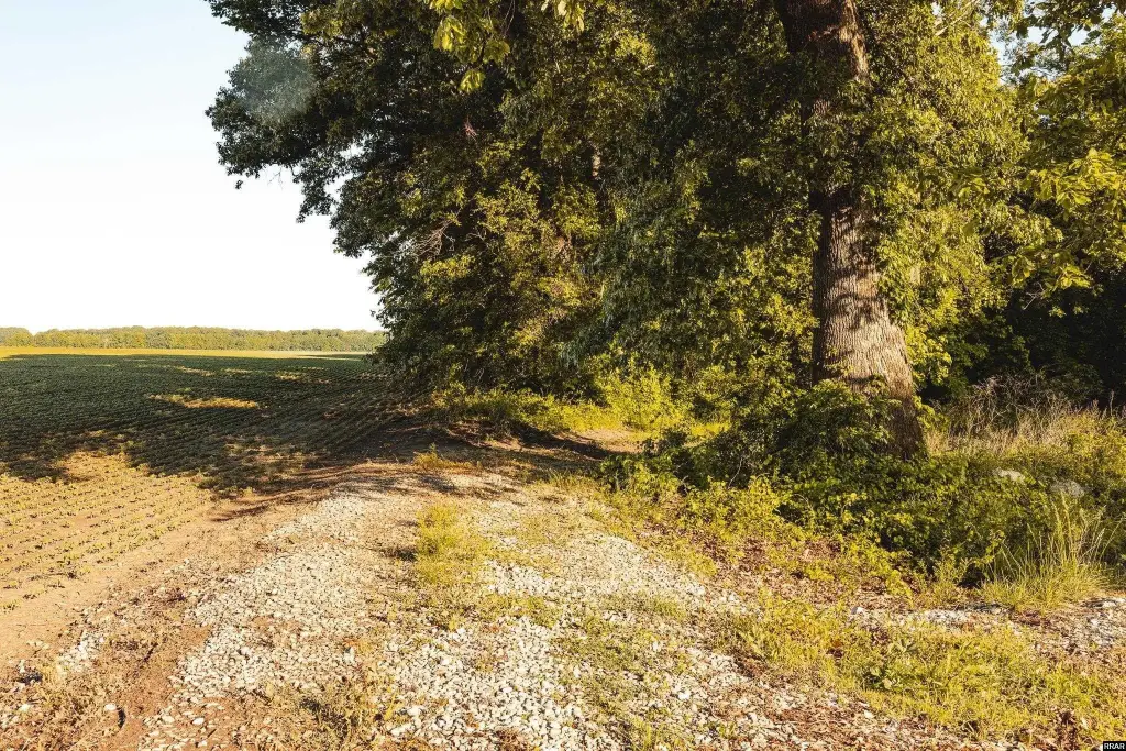 Picture 21