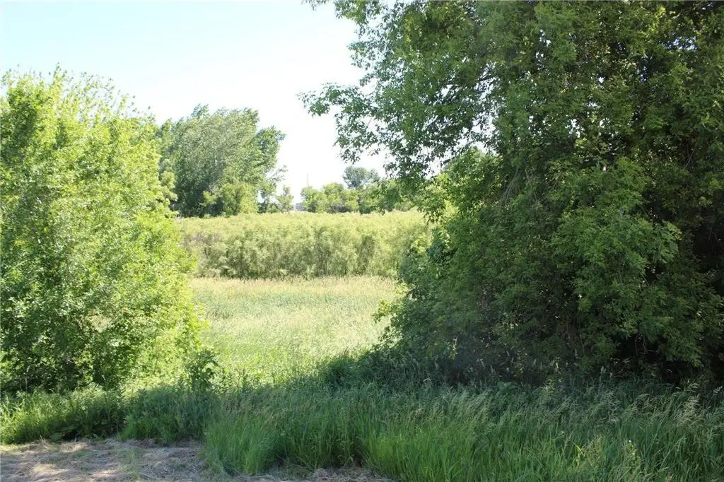 Picture 4