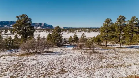 Pagosa Springs Residential Land
