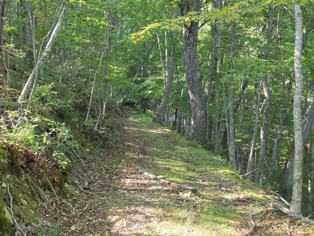 Picture 16