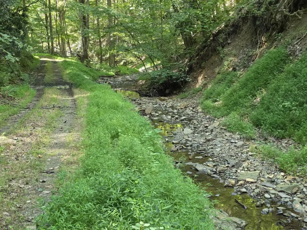 Picture 15