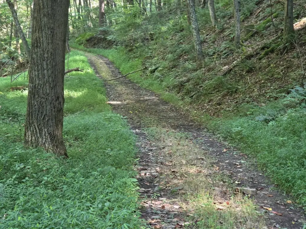 Picture 22