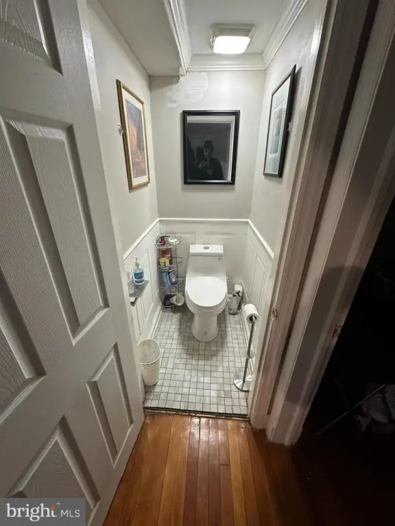 Picture 5
