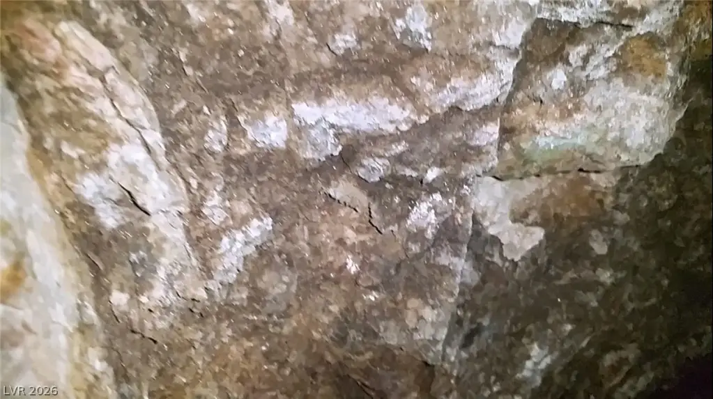 Picture 31