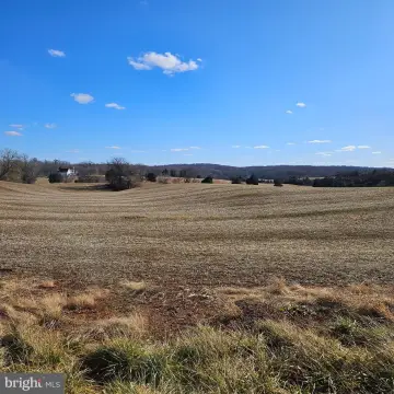25 Acres of Rixeyville Land