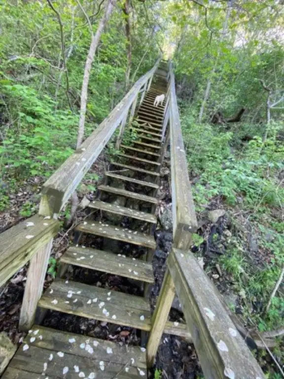 Picture 17