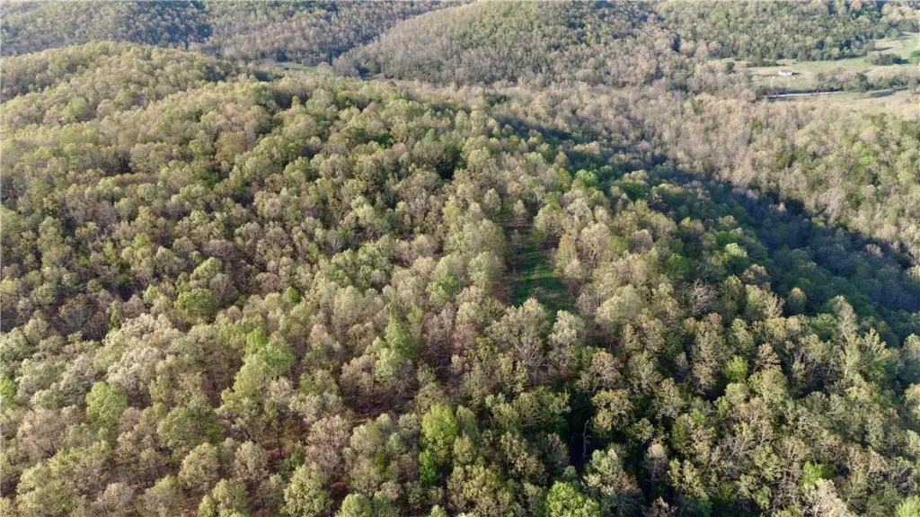 Picture 52