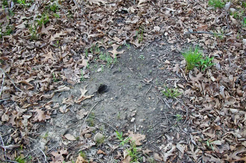 Picture 37