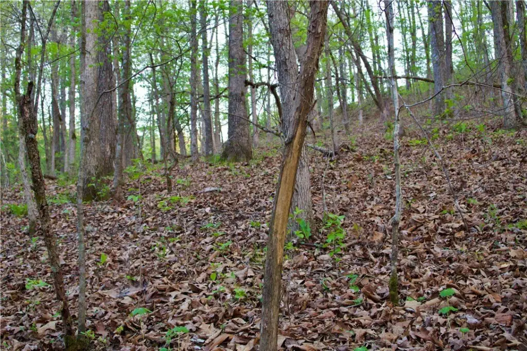Picture 41