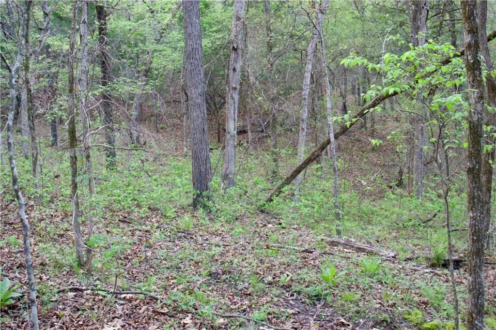 Picture 38