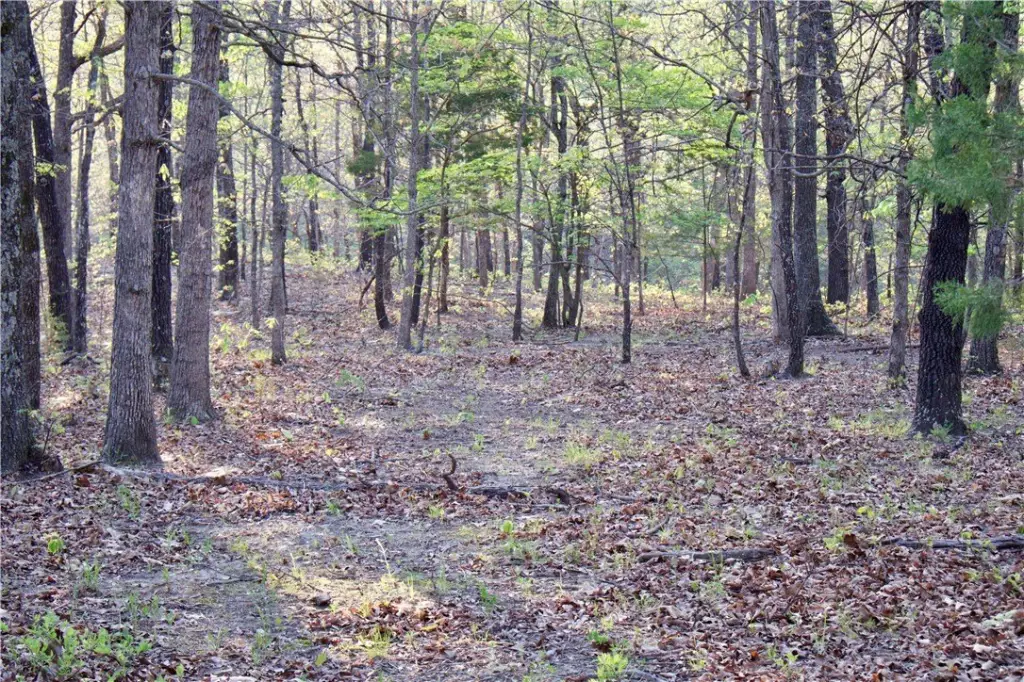 Picture 22
