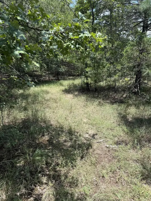 Picture 25