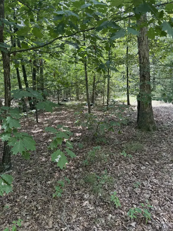 Picture 16