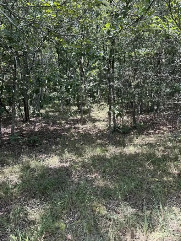 Picture 11