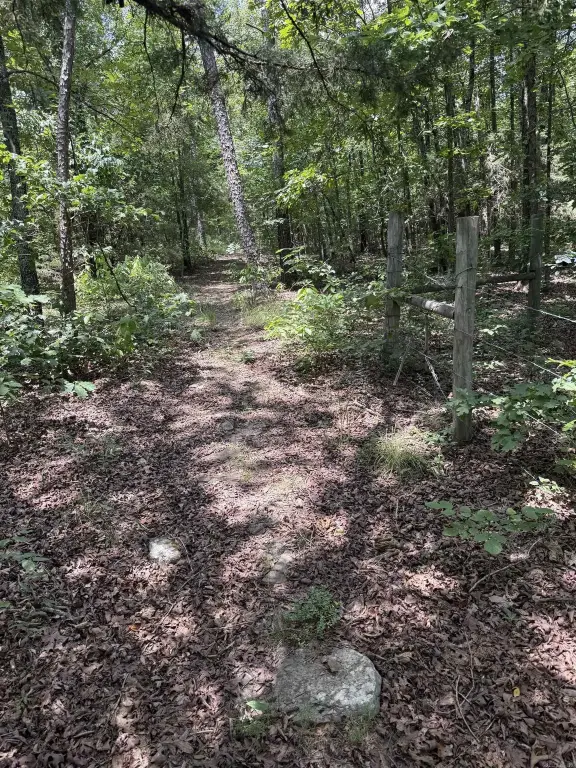 Picture 18
