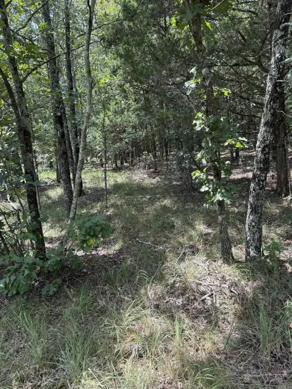 Picture 9