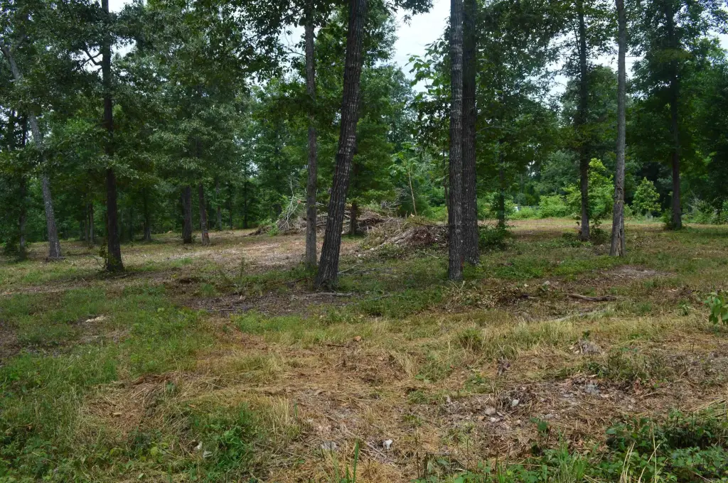Picture 2