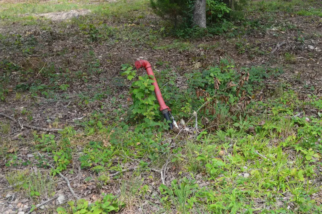 Picture 9