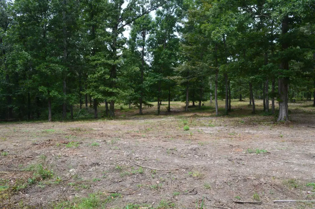 Picture 8