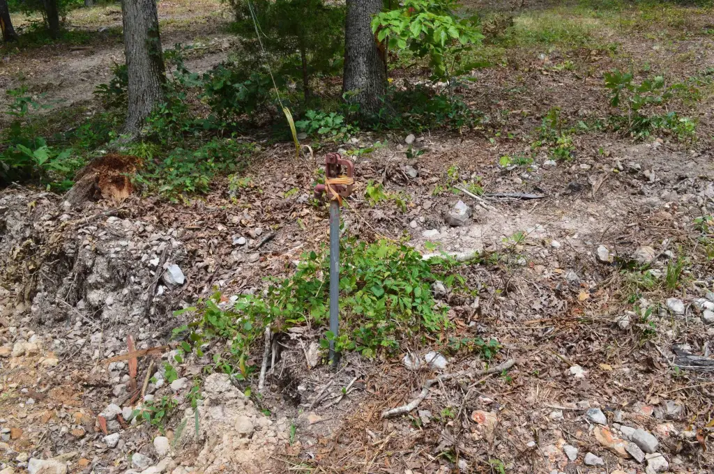 Picture 5