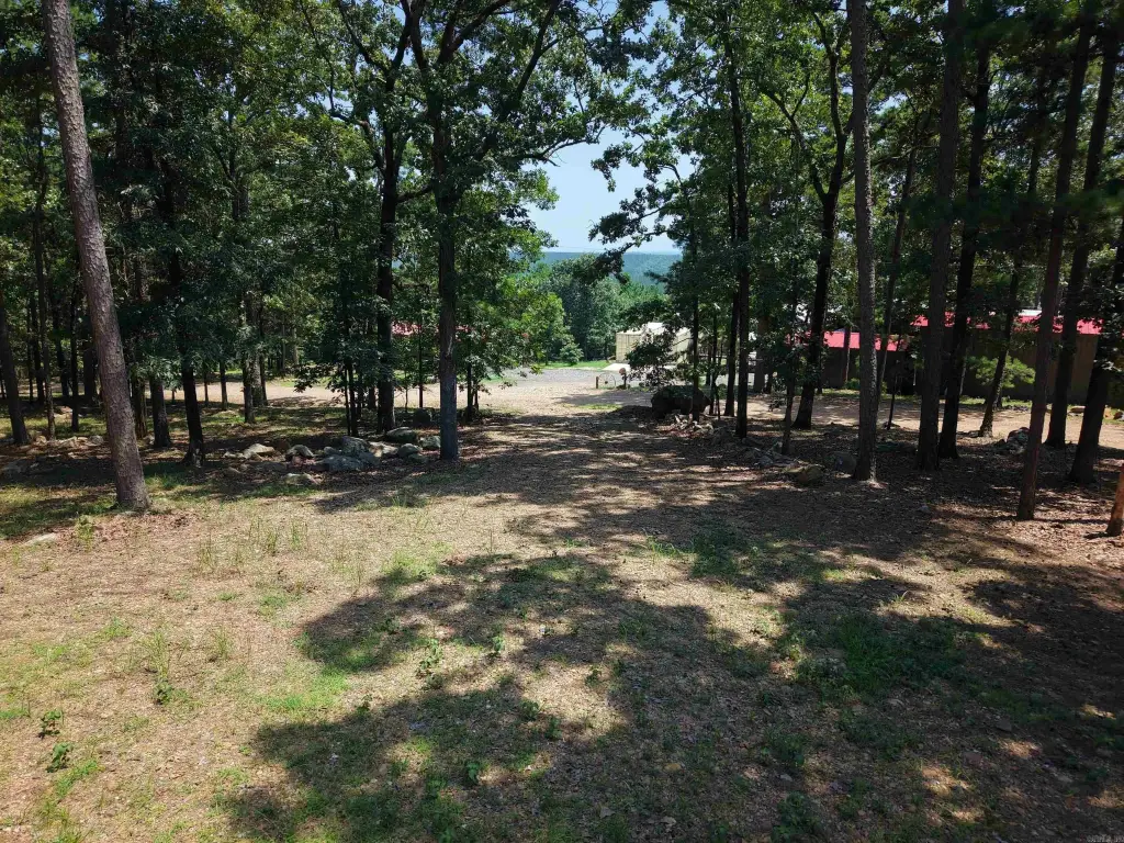 Picture 3