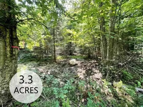 Westmore Land Near Willoughby Lake