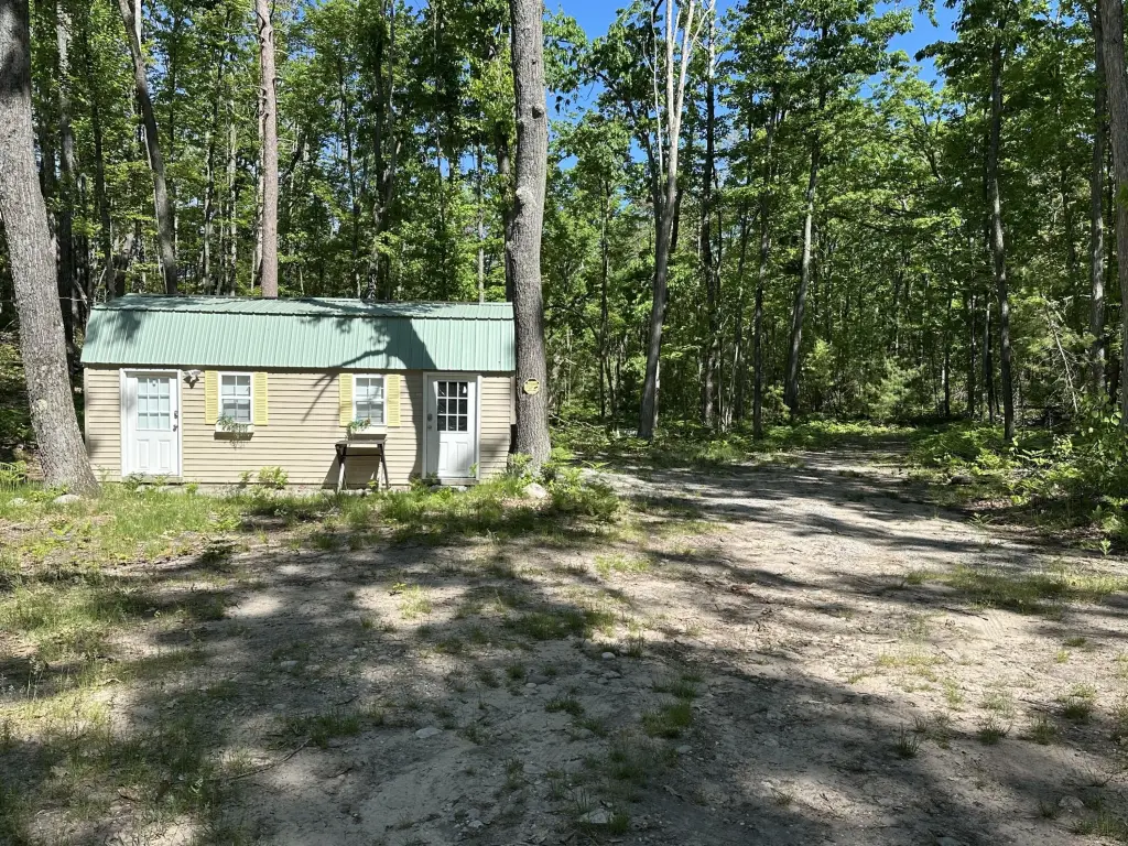 Picture 11