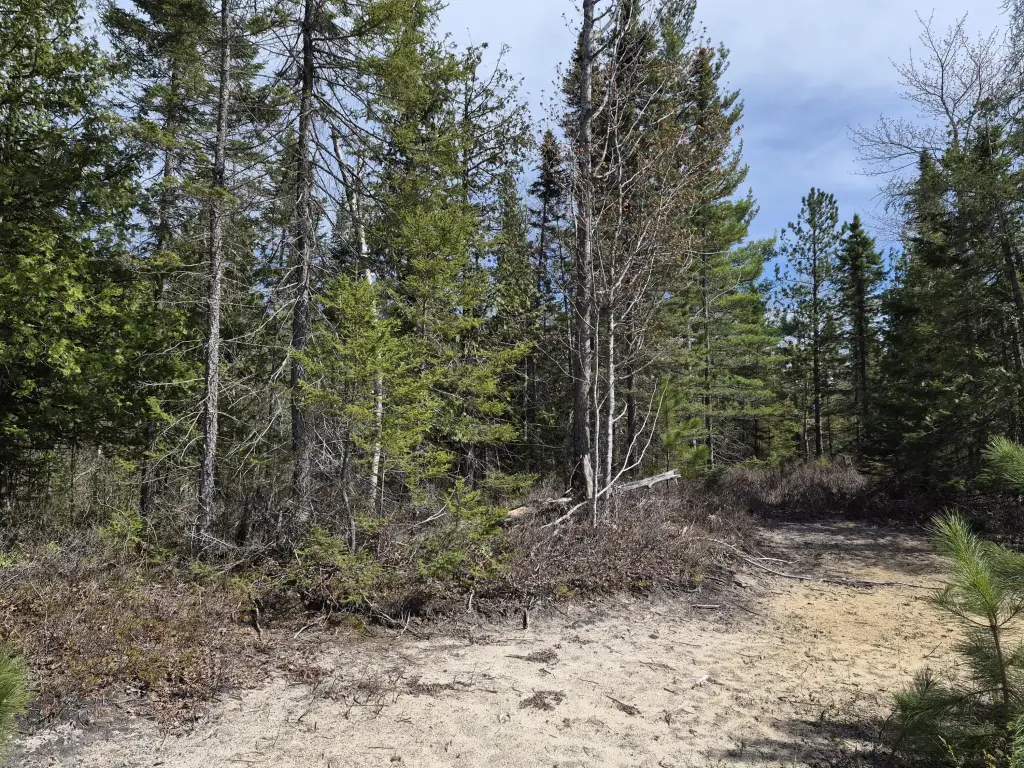 Picture 23