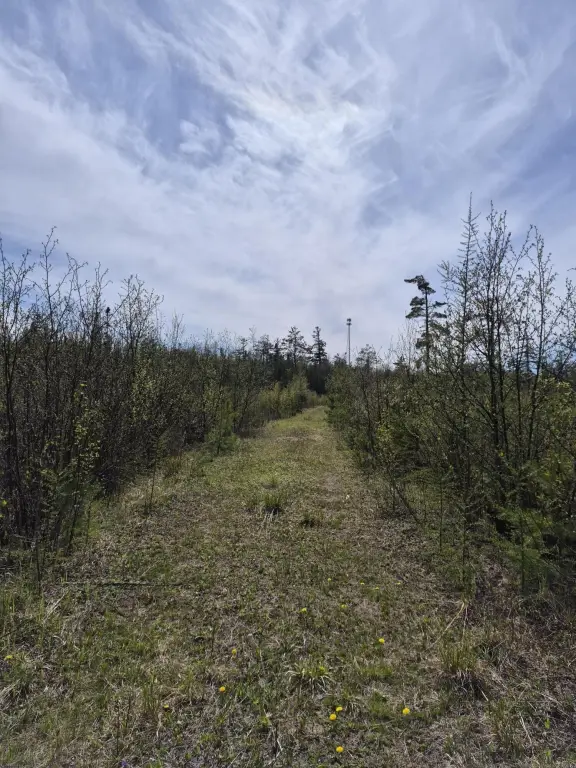Picture 20