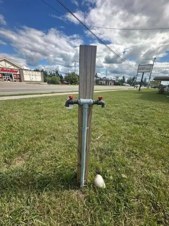 Picture 14